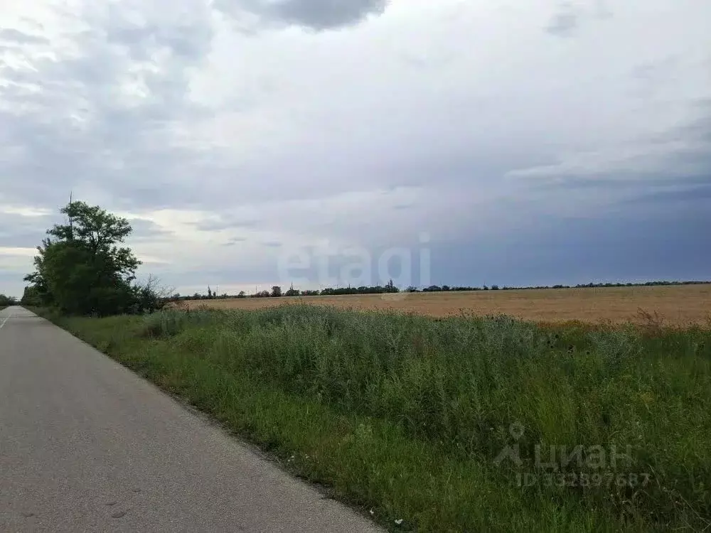Участок в Крым, Ленинский район, Мысовское с/пос, с. Заводское ул. ... - Фото 1