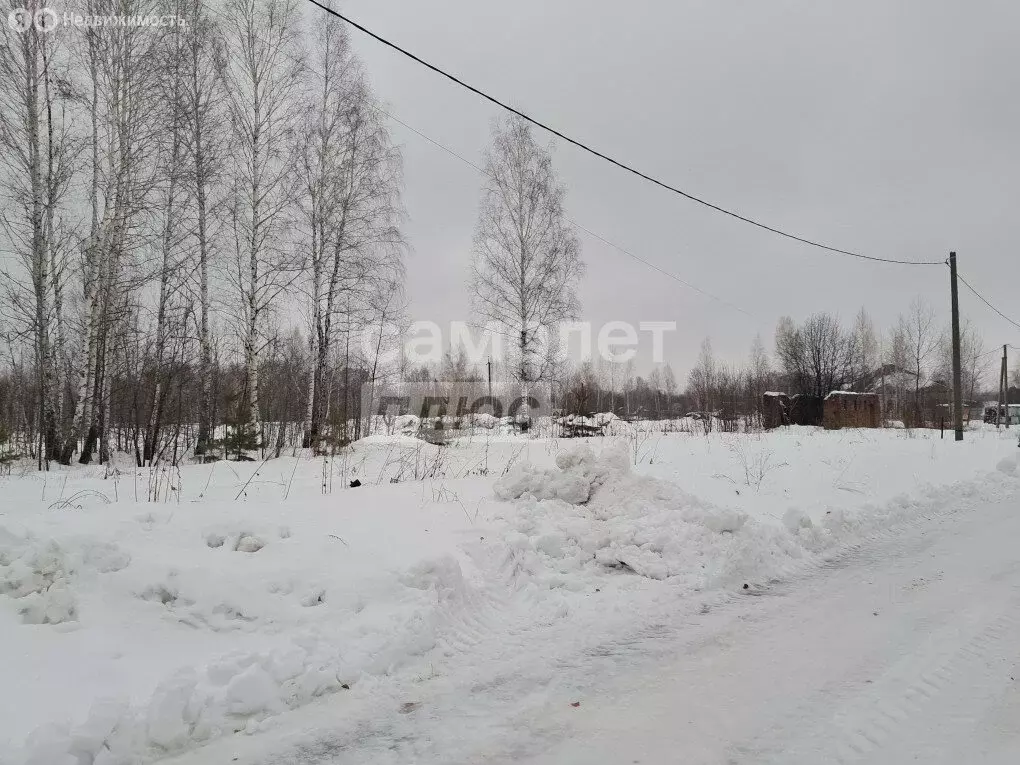 Участок в Новосибирский район, Барышевский сельсовет, посёлок Двуречье ... - Фото 1