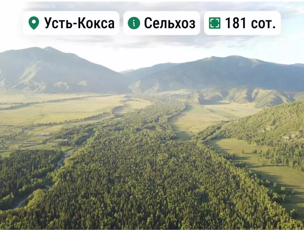 Участок в Усть-Коксинский район, село Усть-Кокса (181 м) - Фото 1