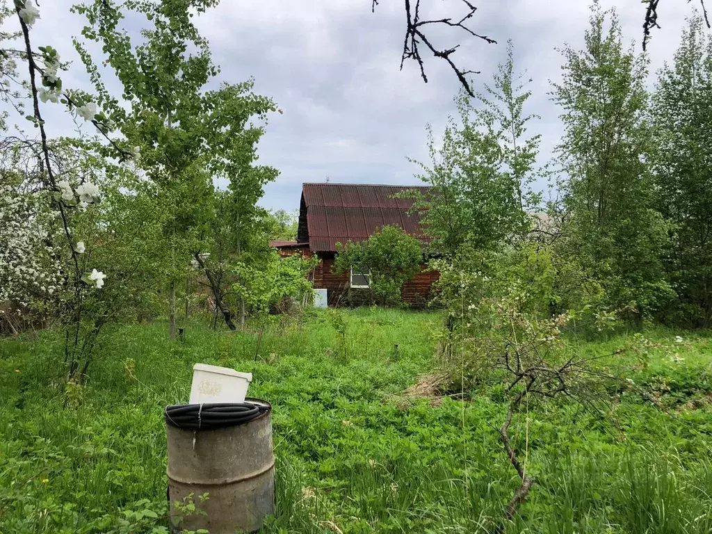 Участок в Ленинградская область, Ломоносовский район, Аннинское ... - Фото 1