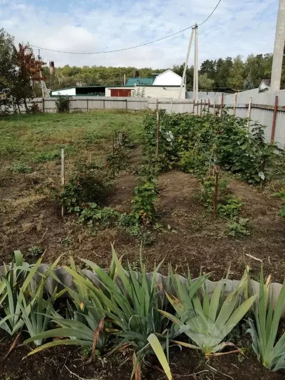 Дом в Саратовская область, с. Константиновка ул. Коммунарная (75 м) - Фото 1