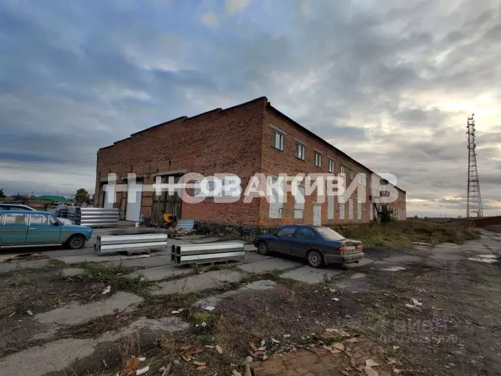 Производственное помещение в Новосибирская область, Колыванский район, ... - Фото 1