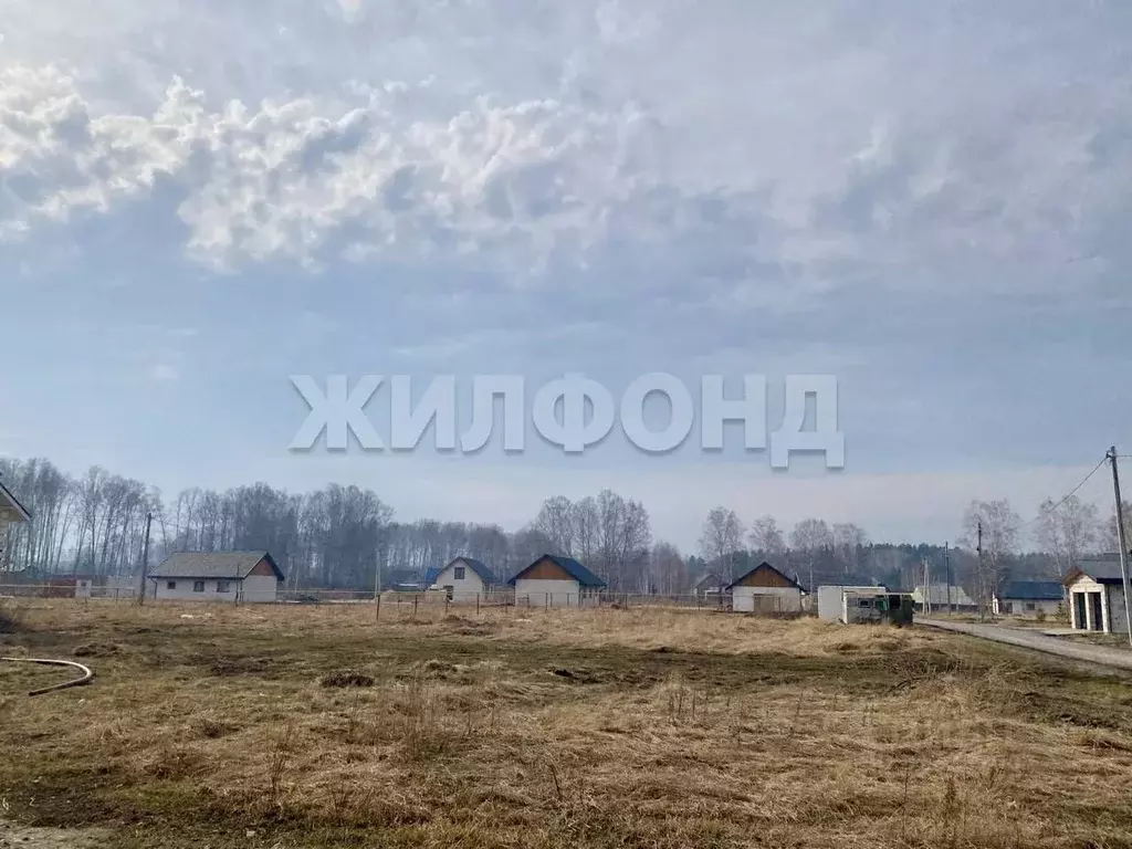 Участок в Новосибирская область, Новосибирский район, Кудряшовский ... - Фото 1