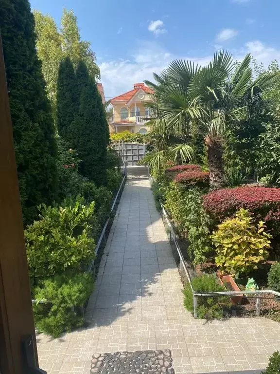 Дом в Севастополь ул. Жасминная, 30 (35 м) - Фото 0