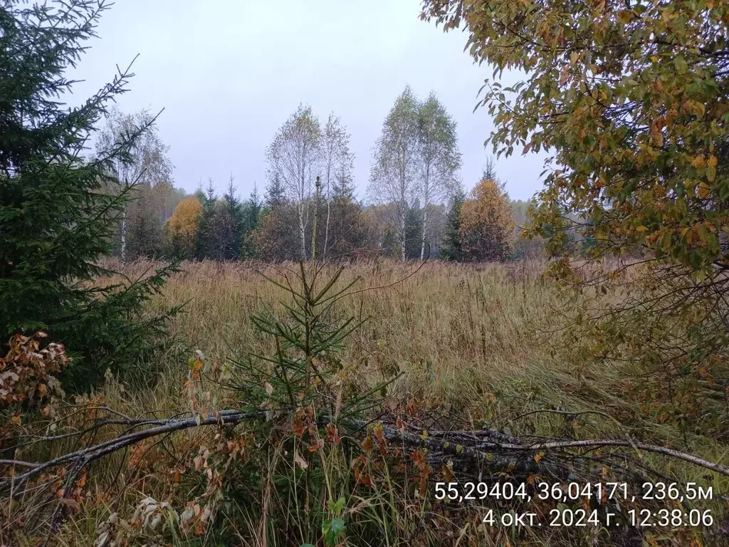 Участок в Московская область, Наро-Фоминский городской округ, д. ... - Фото 0