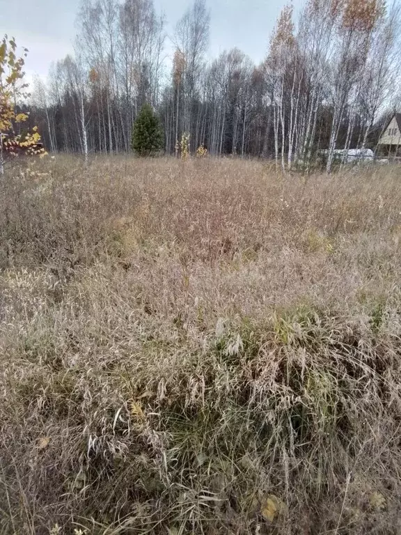 Участок в Томская область, Томск Аникино мкр,  (15.0 сот.) - Фото 0