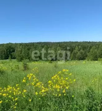 Участок в Пермский край, Пермский муниципальный округ, д. Пашня  ... - Фото 2