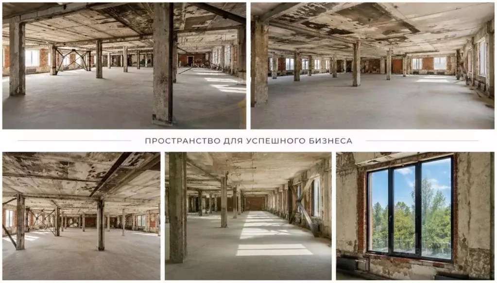 Помещение свободного назначения в Иркутская область, Иркутск ул. ... - Фото 1