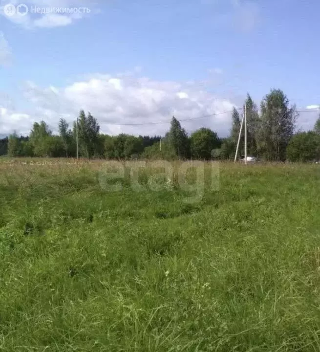 Участок в Костромская область, городское поселение Красное-на-Волге ... - Фото 0