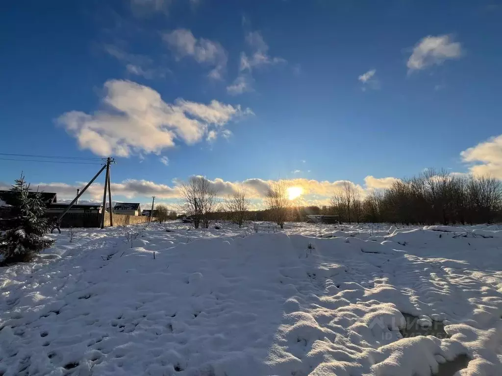 Участок в Ленинградская область, Ломоносовский район, Оржицкое с/пос, ... - Фото 2