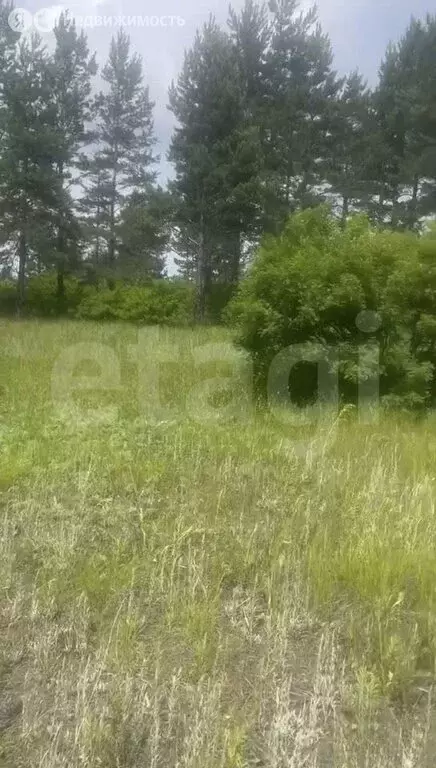 Участок в село Сотниково, улица Чехова (35.59 м) - Фото 2