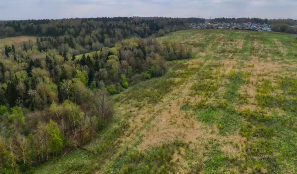 Участок в Московская область, Клин городской округ, д. Соголево  (6.1 ... - Фото 0