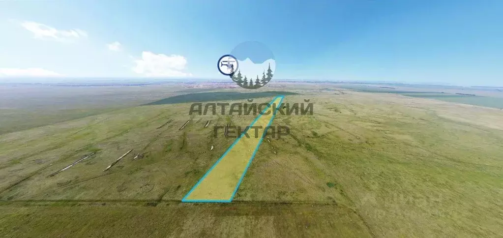 Участок в Алтайский край, Курьинский район, с. Новофирсово  (12178.9 ... - Фото 0