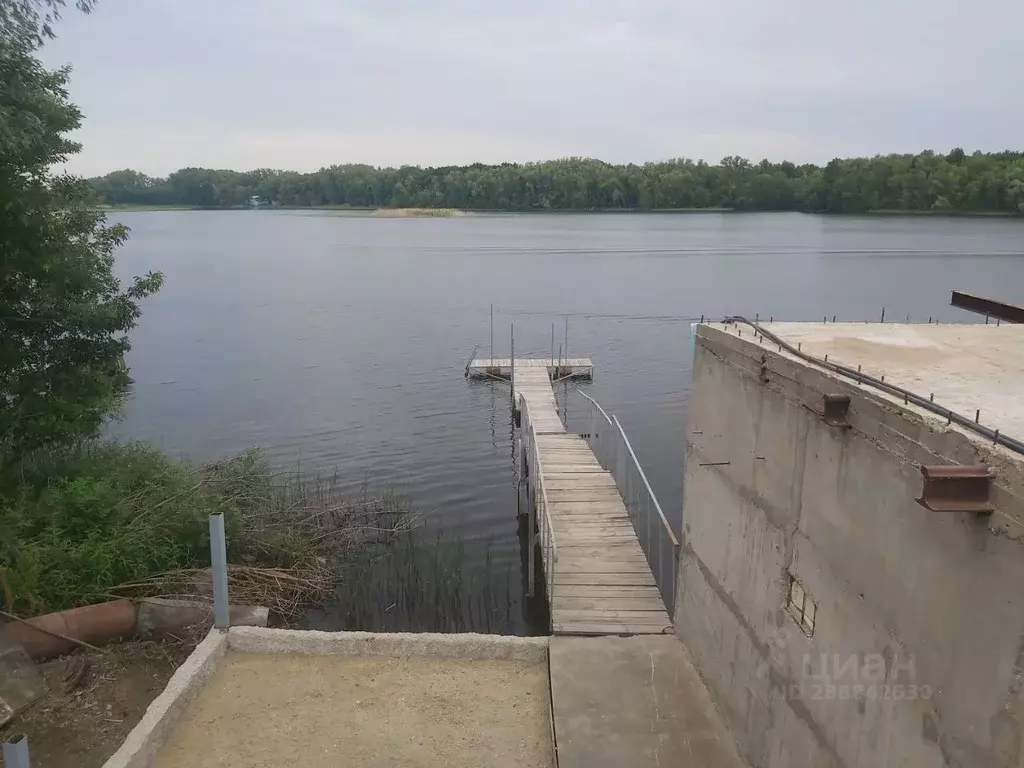 Дом в Саратовская область, Воскресенский район, Елшанское ... - Фото 1