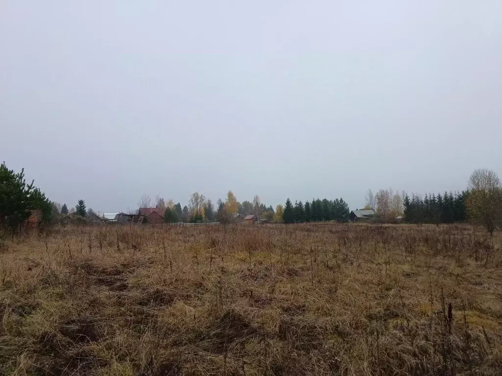 Участок в Московская область, Сергиево-Посадский городской округ, д. ... - Фото 1