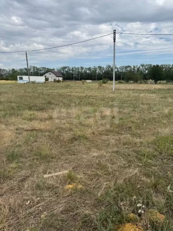 Участок в Ростовская область, Аксайский район, Рассветовское с/пос, ... - Фото 2