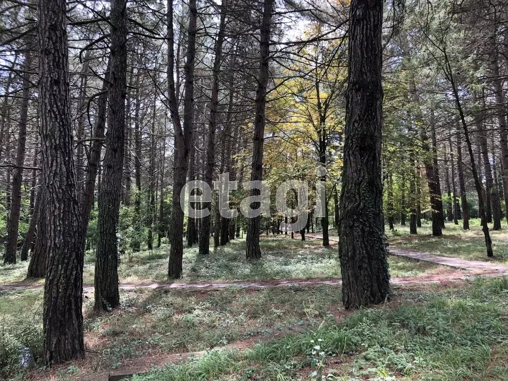 Участок в Краснодарский край, Геленджик  (14.01 сот.) - Фото 2