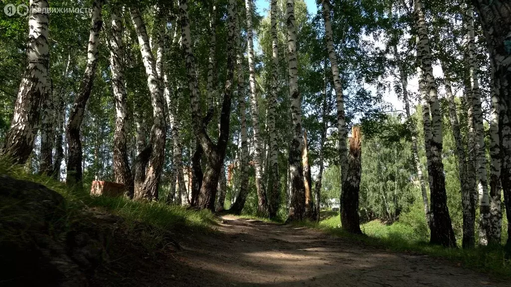 Квартира-студия: Новосибирск, улица Лобачевского, 53/2 (36.7 м) - Фото 1