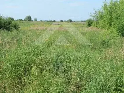 Участок в Нижегородская область, Богородский муниципальный округ, д. ... - Фото 2