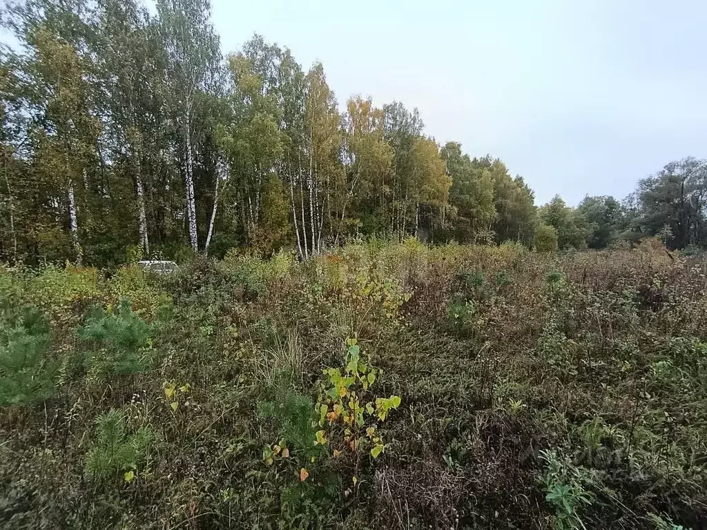 Участок в Калужская область, Бабынинский муниципальный округ, ... - Фото 1