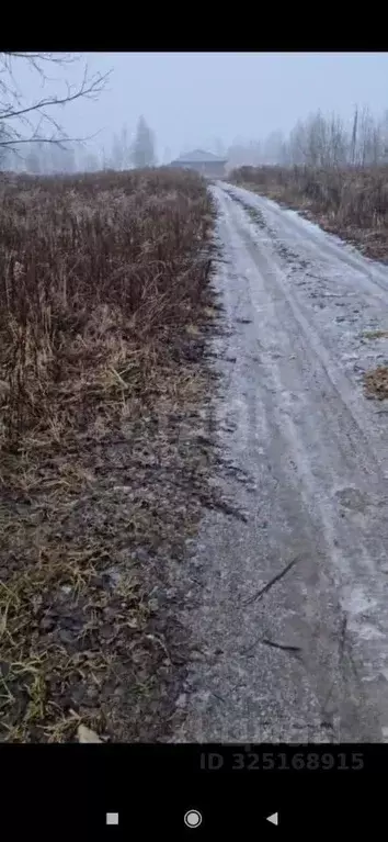 Участок в Брянская область, Брянский район, Снежское с/пос, с. ... - Фото 1