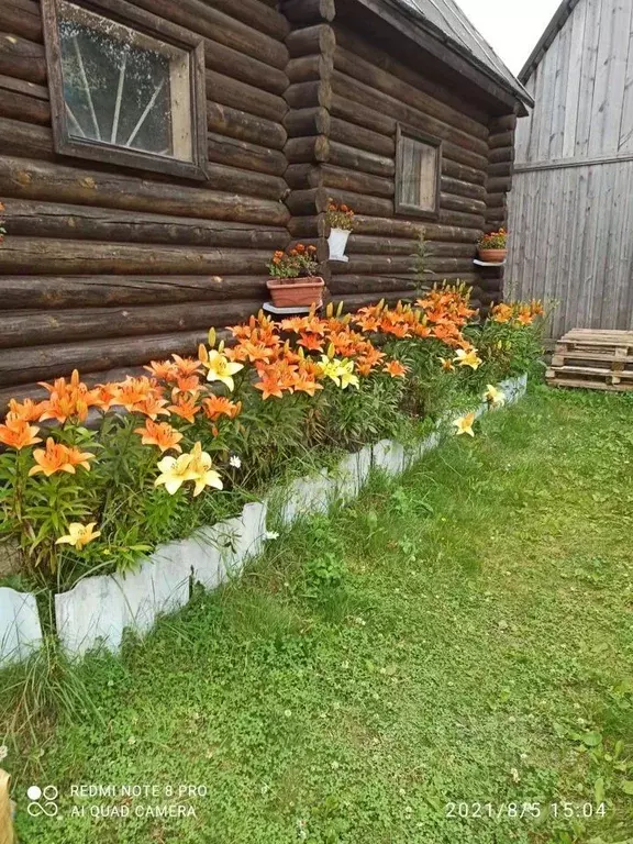 Дом в Ханты-Мансийский АО, Сургут Виктория садовое товарищество,  (20 ... - Фото 0