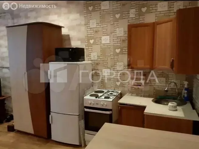 Квартира-студия: Новосибирская область, рабочий посёлок Колывань, ... - Фото 2