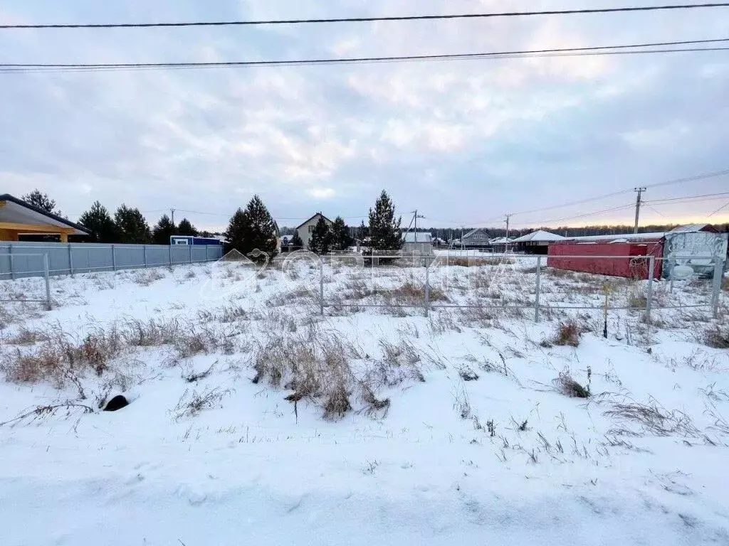 Участок в Тюменская область, Тюменский муниципальный округ, с. Кулига ... - Фото 2