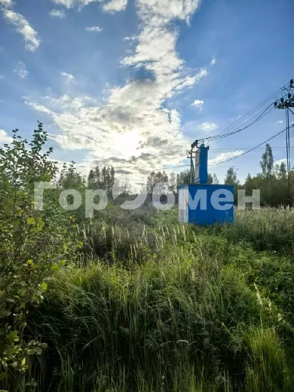 Продается участок в ДНТ Шубино - Фото 0