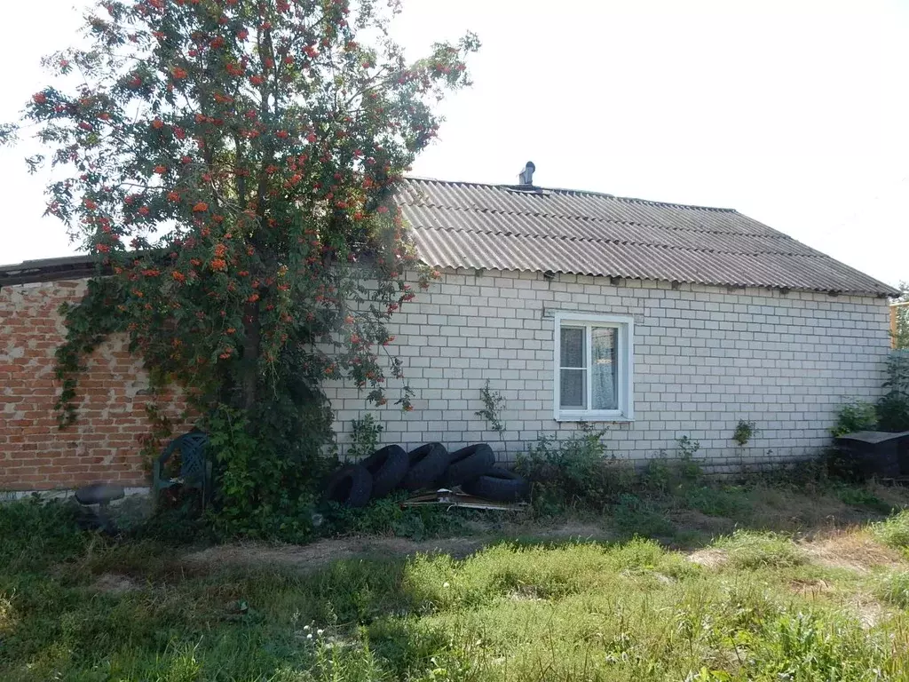 Дом в Воронежская область, Лискинский район, Давыдовское городское ... - Фото 1