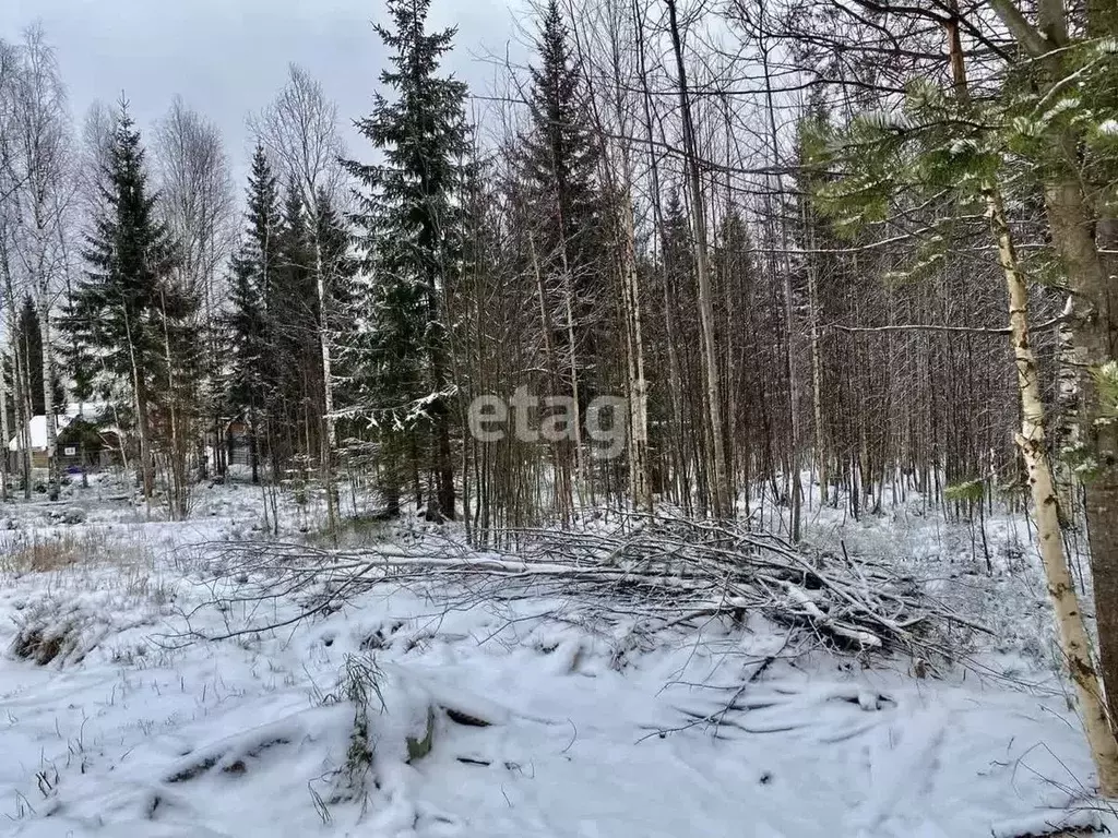 Участок в Коми, Сыктывдинский район, Выльгорт муниципальное ... - Фото 1