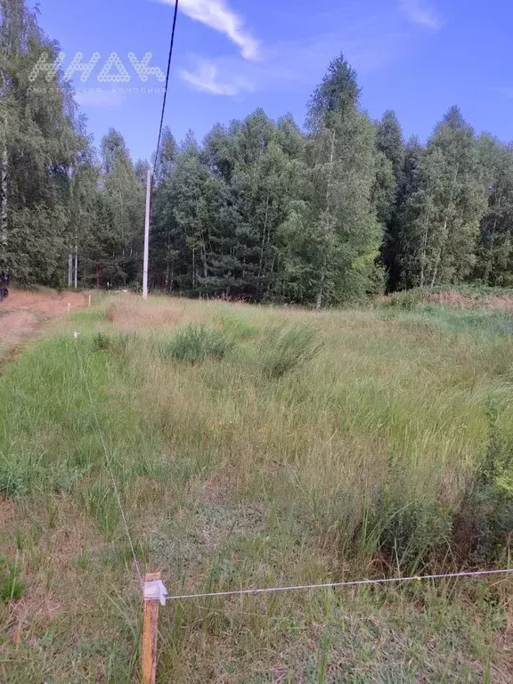 Участок в Нижегородская область, Нижний Новгород пос. Березовая Пойма, ... - Фото 1