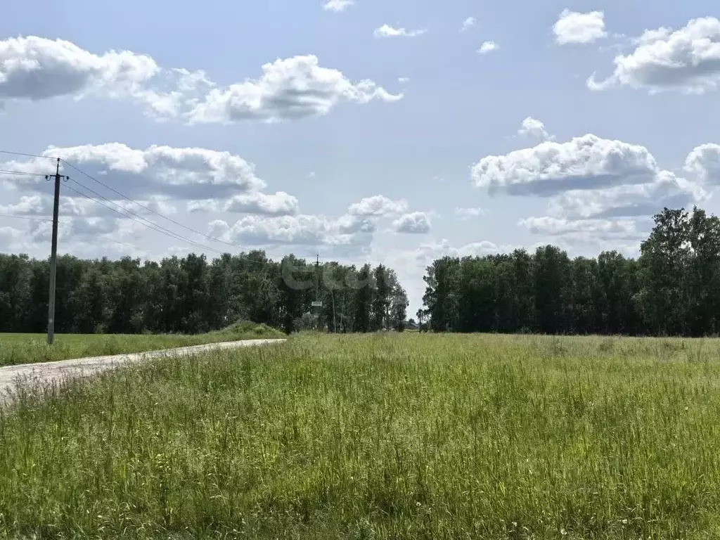Участок в Новосибирская область, Новосибирский район, Морской ... - Фото 0