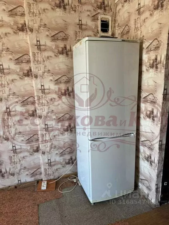 1-к кв. Курганская область, Курган ул. Ленина, 48 (18.0 м) - Фото 1