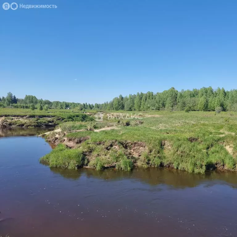 Участок в Судогодский район, муниципальное образование Лавровское, ... - Фото 0