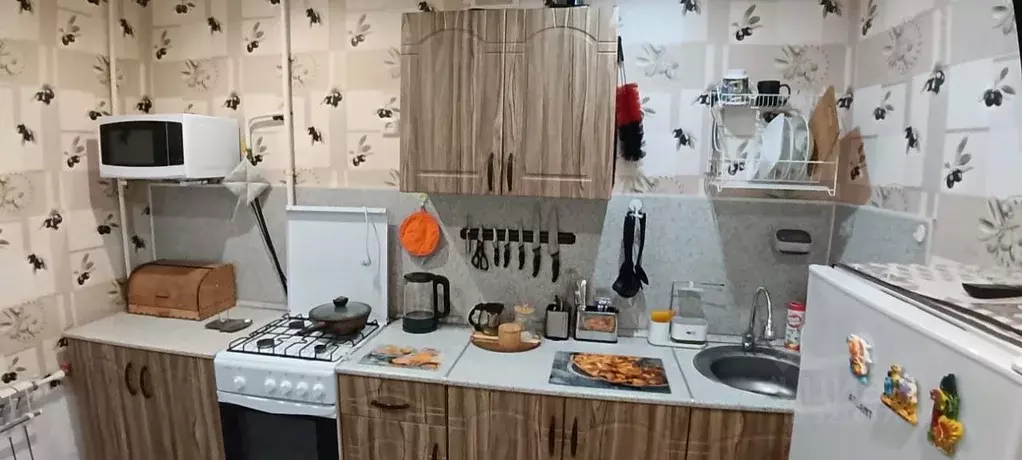 1-к кв. Ярославская область, Ярославль Советская ул., 64 (36.0 м) - Фото 1