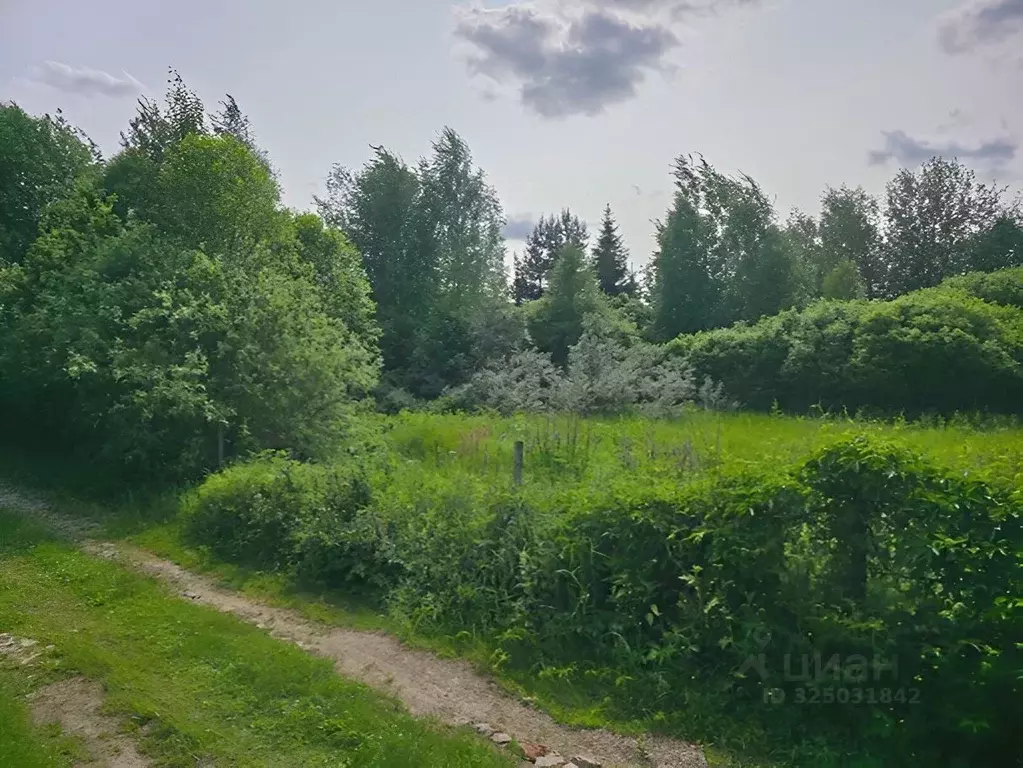 Участок в Московская область, Пушкинский городской округ, ... - Фото 1