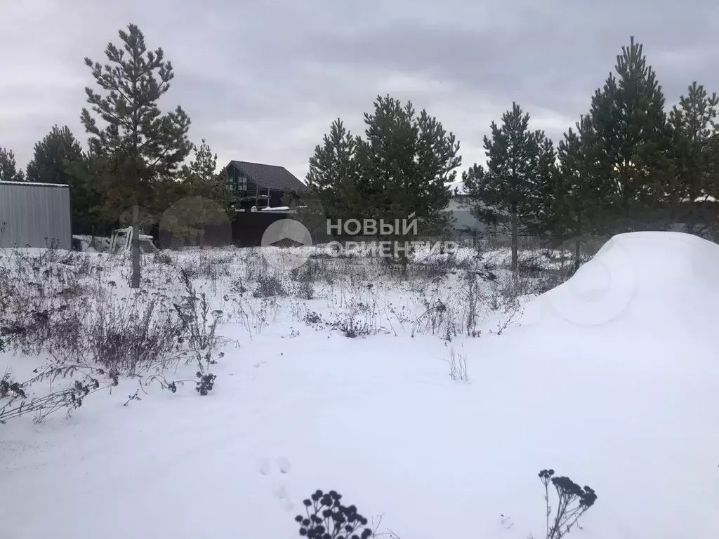 Участок 9,9 сот. (СНТ, ДНП) - Фото 1