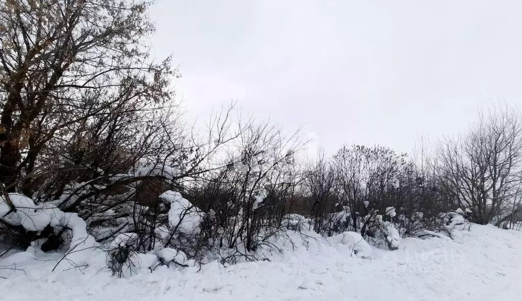 Участок в Владимирская область, Муром с. Молотицы, ул. Колхозная (10.0 ... - Фото 0