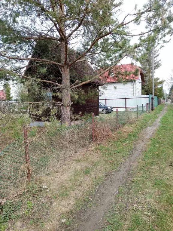 Дом в Новосибирская область, Колывань рп  (80 м) - Фото 0