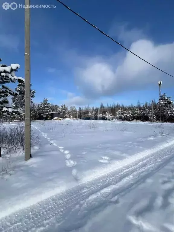 Участок в Виллозское городское поселение, садоводческое некоммерческое ... - Фото 0