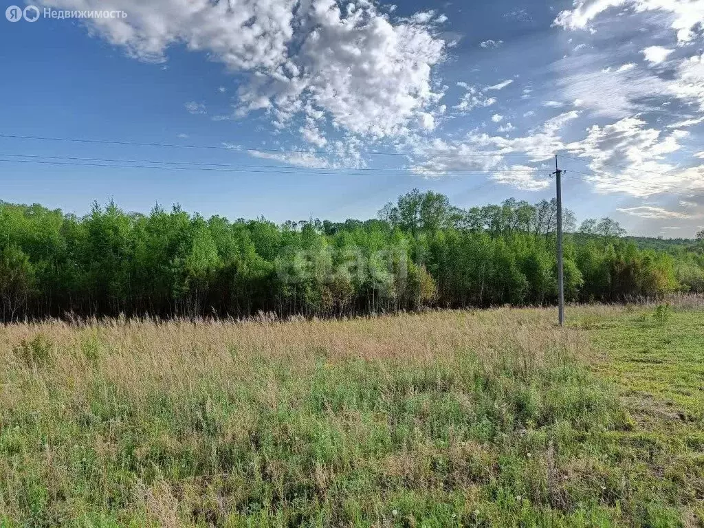 Участок в Амурская область, Благовещенский муниципальный округ, СТ Луч ... - Фото 2