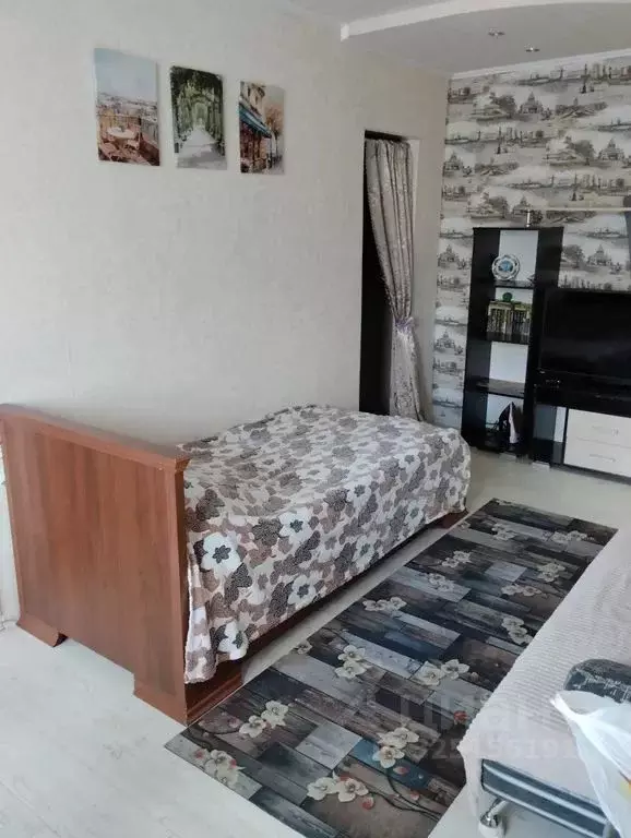 3-к кв. Нижегородская область, Богородск ул. Чернышевского, 29 (42.0 ... - Фото 2