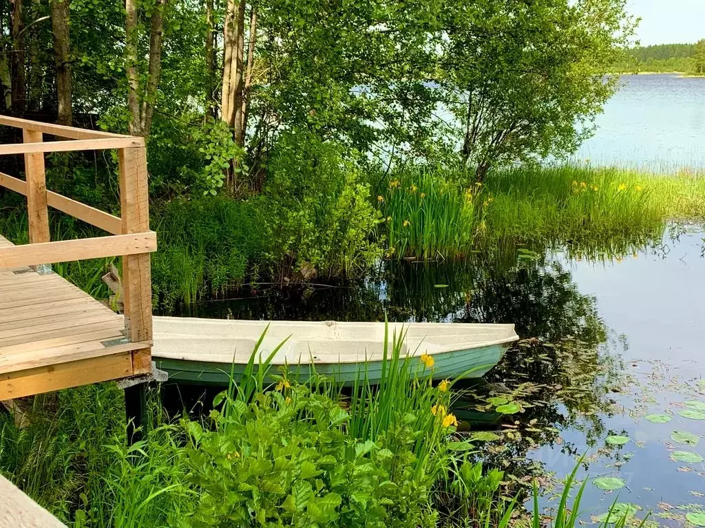 Дом в Ленинградская область, Выборгский район, Гончаровское с/пос, ... - Фото 2