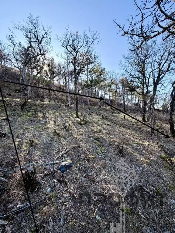 Участок в Крым, Алушта муниципальный округ, пос. Семидворье  (5.0 ... - Фото 1