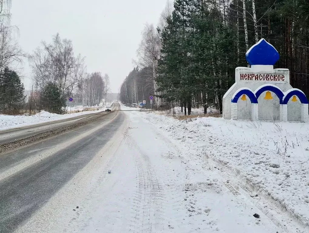 Участок в Ярославская область, Некрасовское рп  (23.5 сот.) - Фото 1