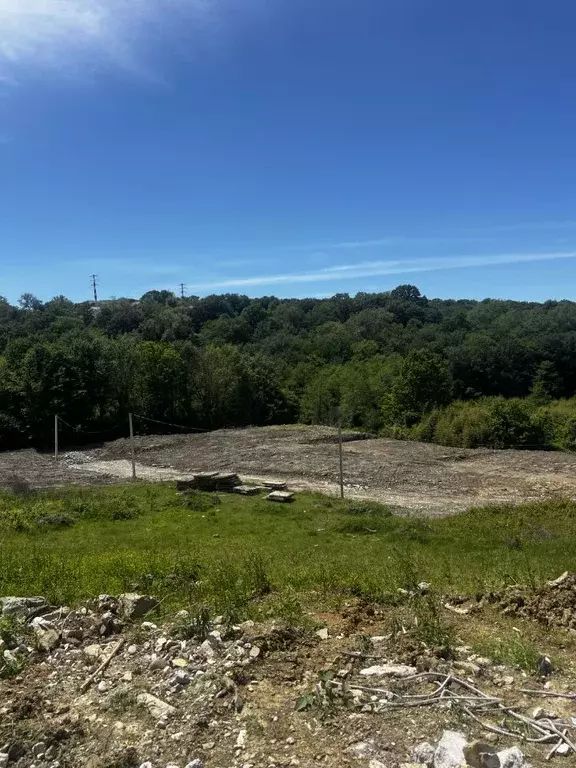 Участок в Краснодарский край, Сочи городской округ, с. Черешня ул. ... - Фото 1