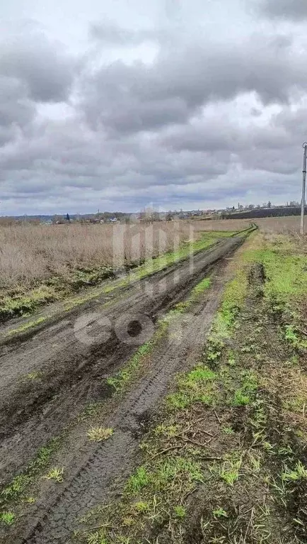 Участок в Воронежская область, Новоусманский район, с. Орлово  (9.0 ... - Фото 1
