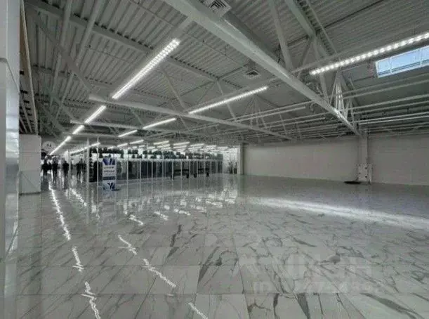 Торговая площадь в Санкт-Петербург Дунайский просп., 27к1 (360 м) - Фото 2