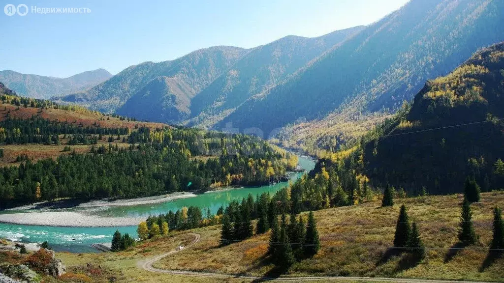 Участок в Онгудайский район, село Хабаровка (710.98 м) - Фото 0